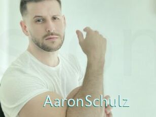 AaronSchulz Straponles