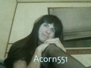 Acorn551