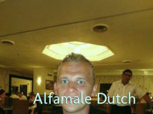 Alfamale_Dutch