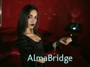 AlmaBridge Straponles