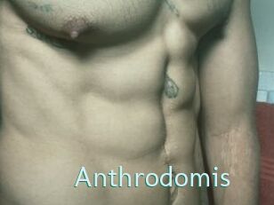 Anthrodomis