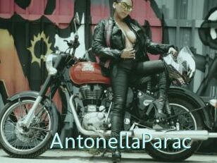 AntonellaParac