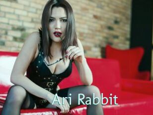 Ari_Rabbit