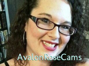 AvalonRoseCams
