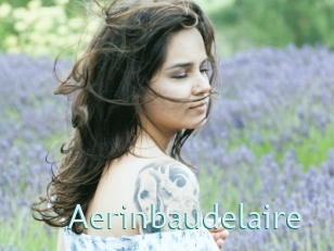 aerinbaudelaire Straponles