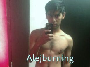 Alejburning