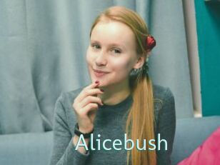 Alicebush