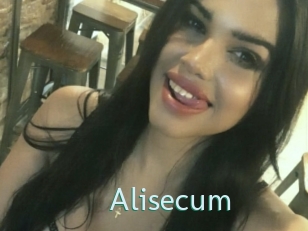 Alisecum
