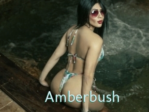 Amberbush