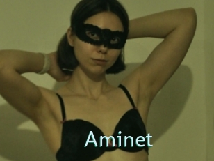 Aminet