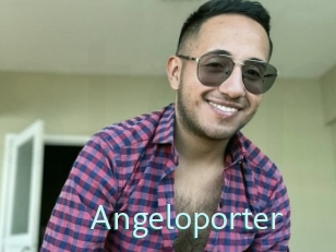 Angeloporter
