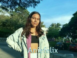 Aniefelix