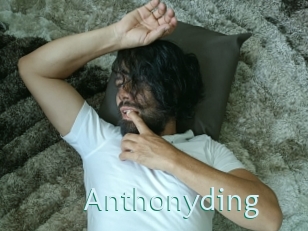 Anthonyding
