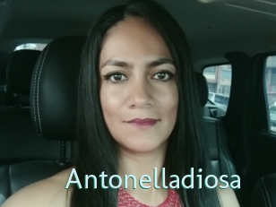 Antonelladiosa