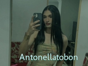 Antonellatobon