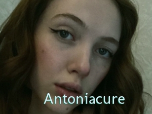 Antoniacure