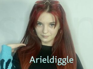 Arieldiggle