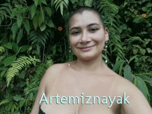 Artemiznayak