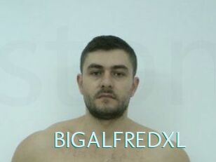 BIGALFREDXL
