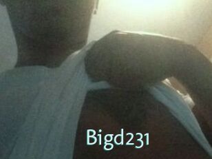 Bigd231