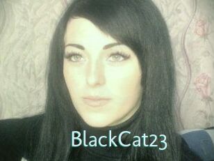 BlackCat23