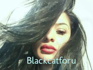Blackcatforu
