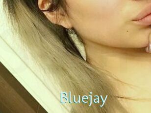 Blue_jay