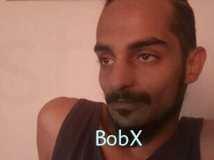 BobX
