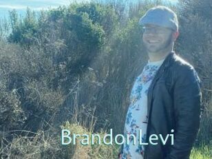 BrandonLevi