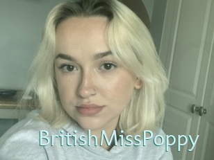 BritishMissPoppy Straponles