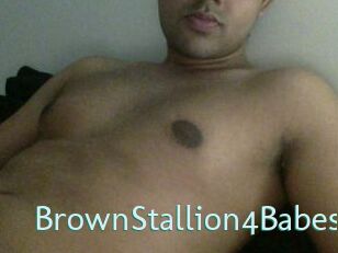 BrownStallion4Babes