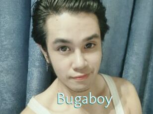 Bugaboy