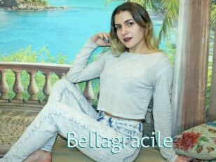 Bellagracile