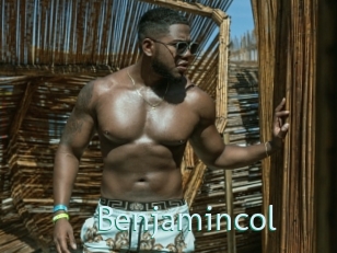 benjamincol Straponles
