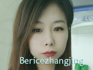 Bericezhangjing