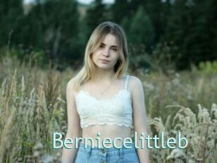 Berniecelittleb