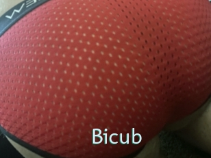 Bicub
