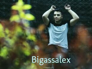 Bigassalex