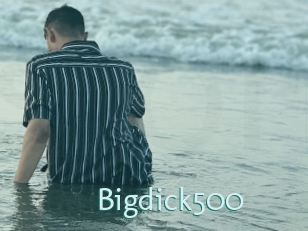 Bigdick500