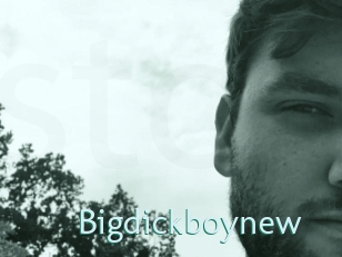 Bigdickboynew
