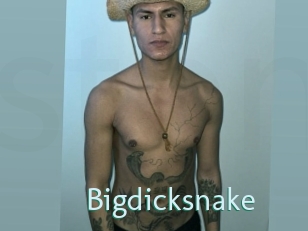 Bigdicksnake