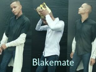 Blakemate