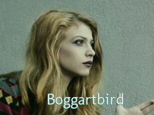 Boggartbird
