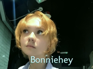 bonniehey Straponles