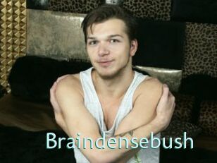 Braindensebush