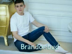 Brandonbud