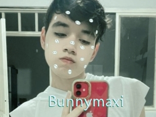 Bunnymaxi