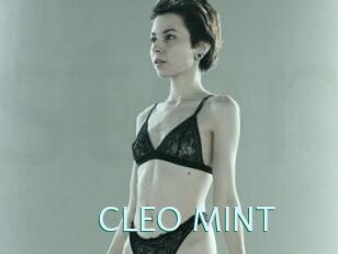 CLEO_MINT