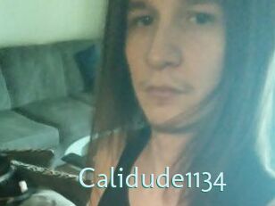 Calidude1134