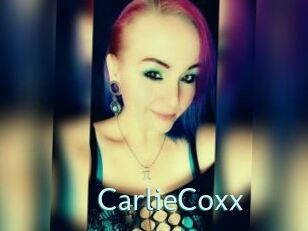 CarlieCoxx Straponles